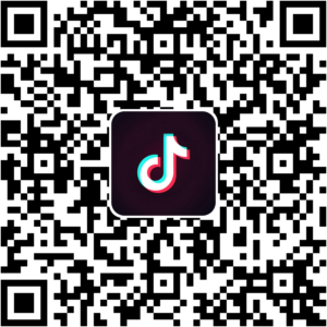 抖音小程序